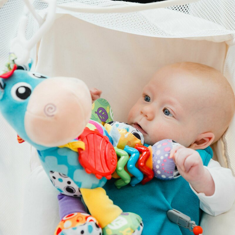 Jucărie Carucior Playgro Clip Clop, Activitate, 39 cm - imagine 6
