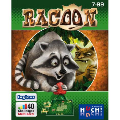 Racoon Huch and friends - Joc de logică