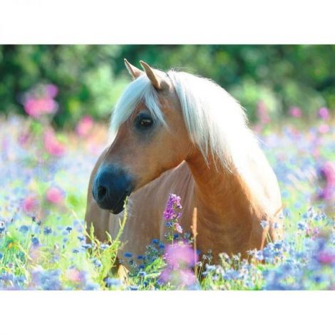 Puzzle Căluț Flori Ravensburger 300 piese