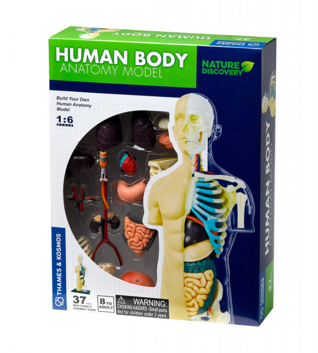 Kit STEM Anatomia Umană Thames & Kosmos