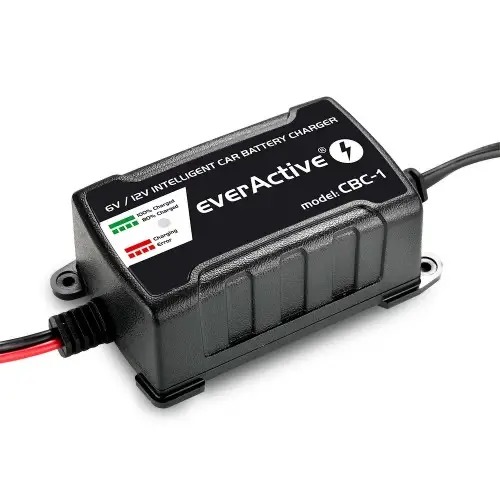 Încărcător Inteligent 6V/12V everActive pentru Mașini Electrice - imagine 3