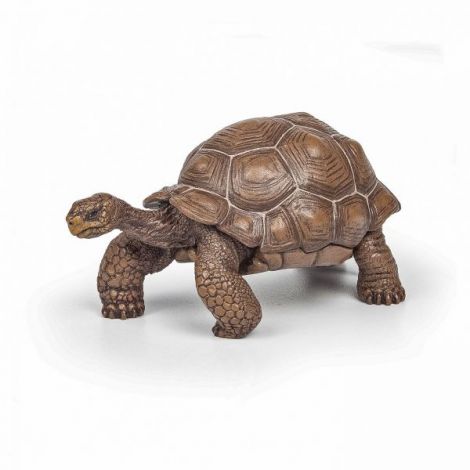 Papo Testoasa Galapagos - Figurina Detaliata