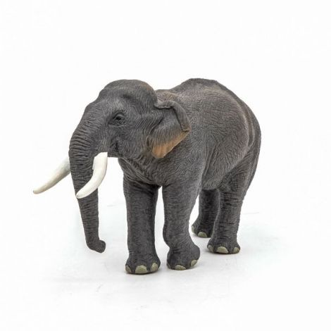 Papo Elefant Asiatic - Figurina Educativă 3+ - imagine 6