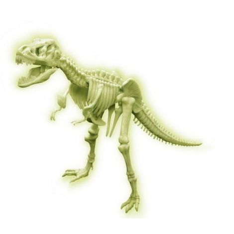 Fosilă T-Rex Fosforescent 4m | Sci:Bits - imagine 2