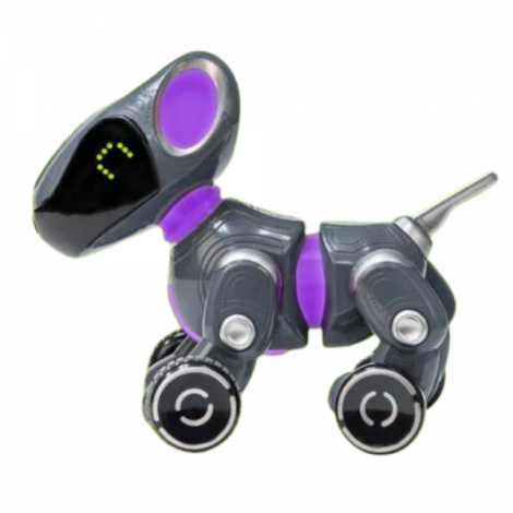 Pyxel Robot Programator Educational Insights