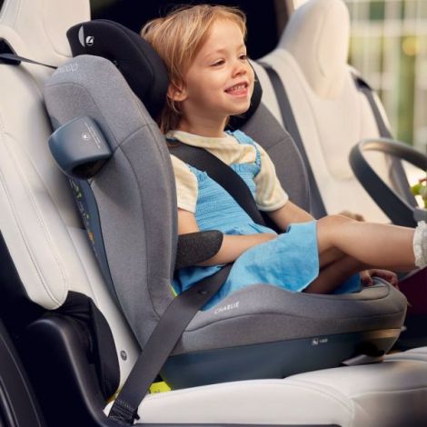 Swandoo Charlie i-Size - Scaun Auto Premium - imagine 6