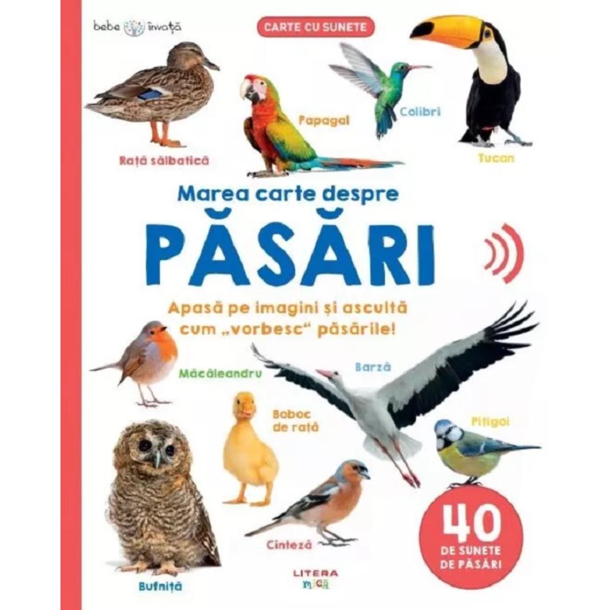Marea Carte despre Păsări cu Sunete - Litera