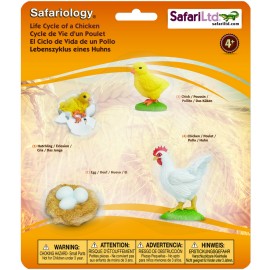 Ciclul Vietii la Pui Safari Ltd - Set Educativ