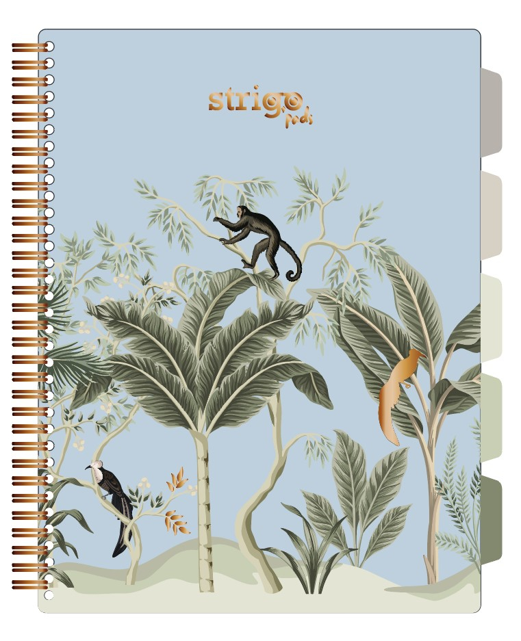 Caiet Project Book Africa A4 Strigo, Matematică