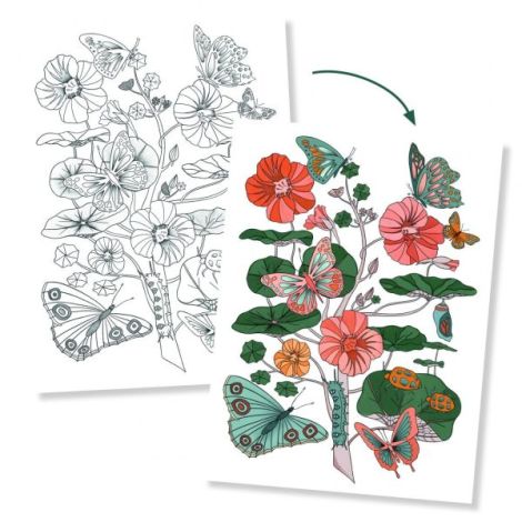 Mapa Colorat Natura Djeco | Postere Creativitate - imagine 4