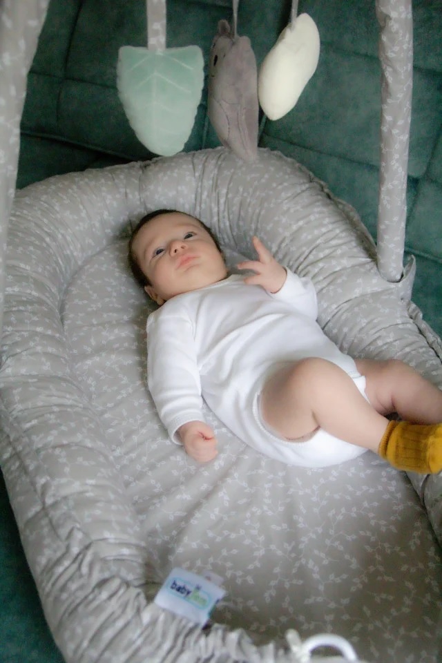 Salteluta Baby Nest Babyjem Gri | Somn Sigur - imagine 6