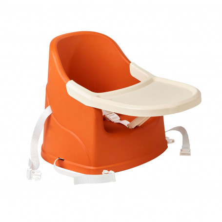 Scaun Evolutiv Thermobaby Youpla Terracotta 6luni-3ani - imagine 3