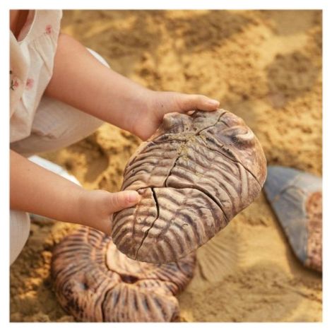 Fosile Trilobit 3D Guidecraft - Puzzle Magnetic Educativ - imagine 2