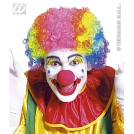 Peruca Clown Multicolora Carnaval | Widmann Italia