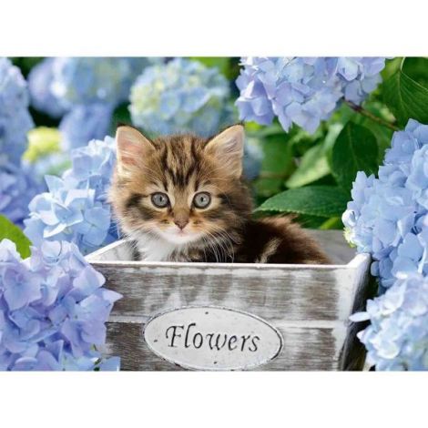 Puzzle Pisicuta Ravensburger 300 piese