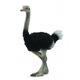 Figurina Strut L Collecta - Detalii Realiste