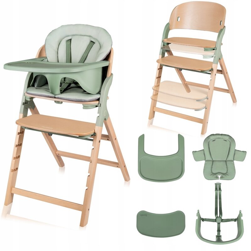 Scaun Megan Lionelo Reglabil 6 luni-Adult