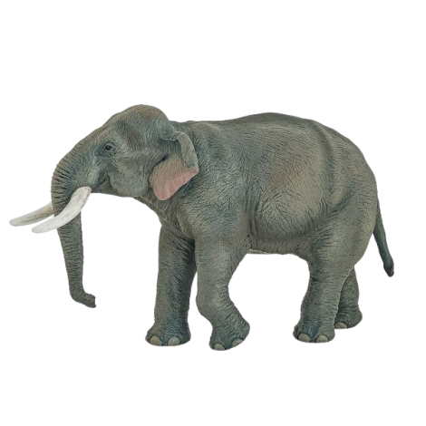 Papo Elefant Asiatic - Figurina Educativă 3+