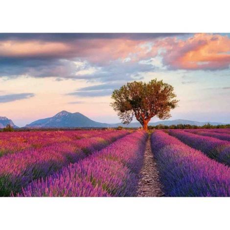 Puzzle Lavanda Ravensburger 1000 Piese Relaxare