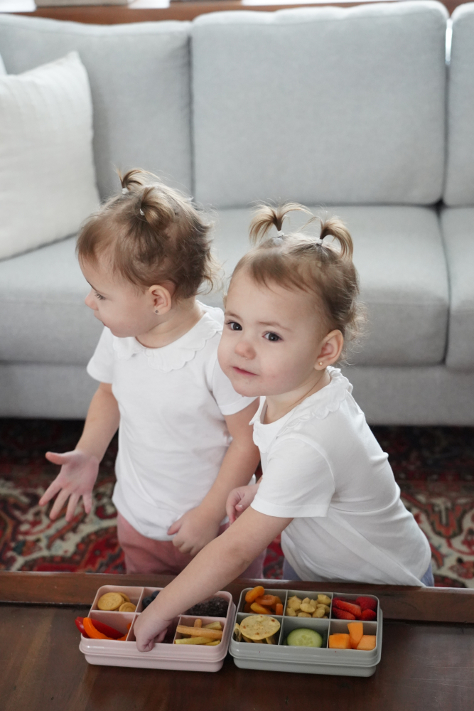 Cutie snack Melii cu 6 compartimente