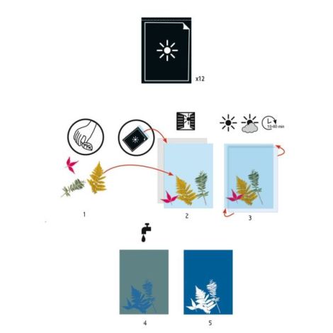 Hartie Cianotip Djeco | Creații Artistice - imagine 2