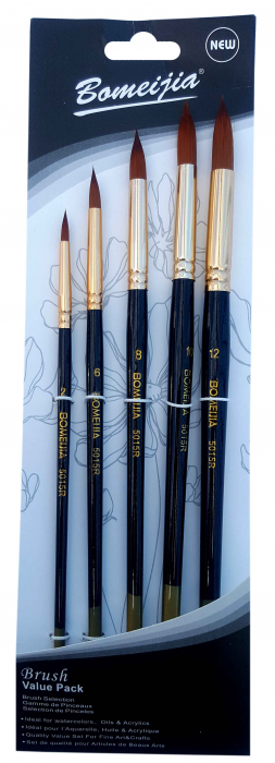 Cnx Set 5 Pensule Nylon pentru Pictură Rotund