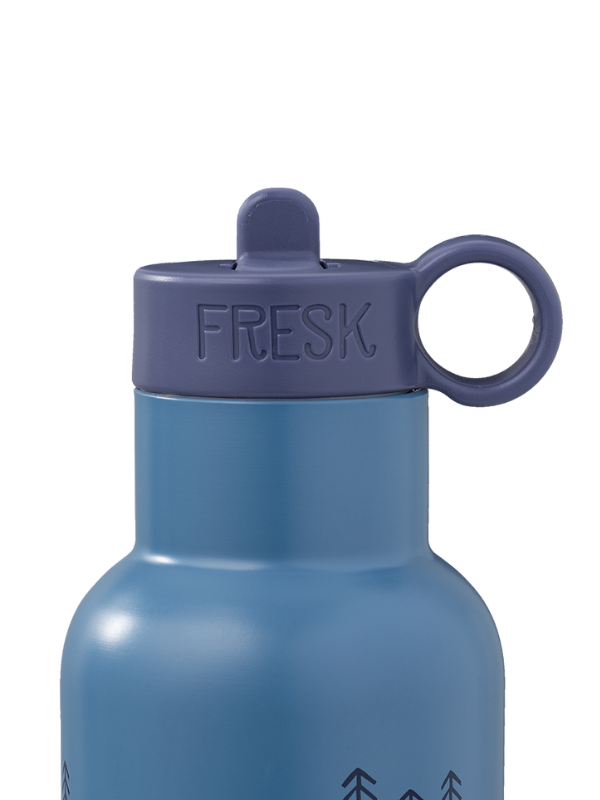 Sticlă Termos Fresk Dino 500 ml - imagine 2