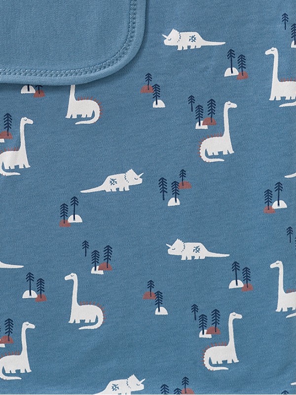 Paturica Fresk Dino Bumbac Organic 80x100 cm