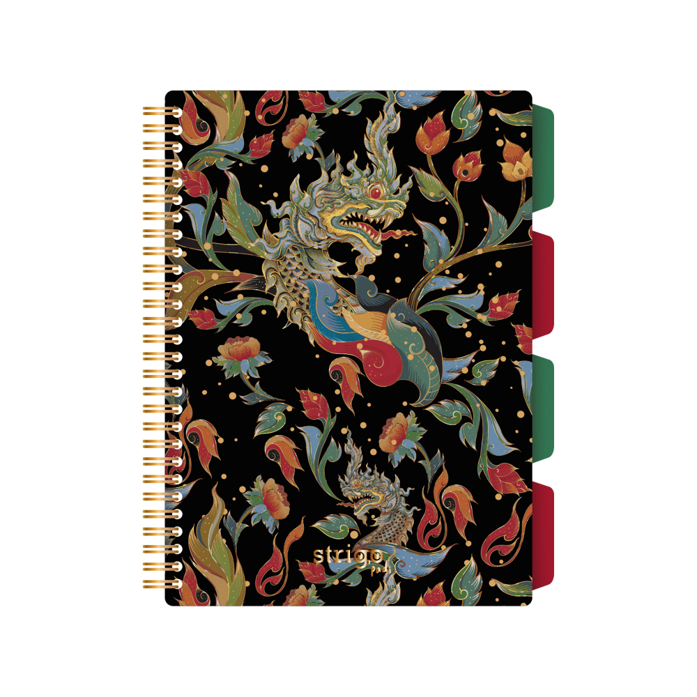 Caiet Spirala Strigo Dragon B5, Matematica