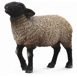 Figurina Oaie Suffolk Collecta | Detaliat și Sigur
