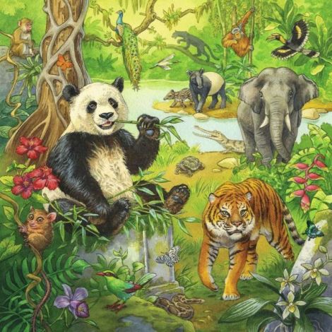 Puzzle Aventuri Jungla Ravensburger 3x49 piese