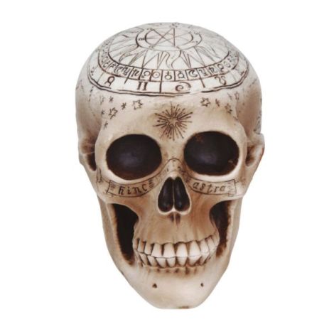 Cap Schelet Spiritism Guirca 20cm - Decor Halloween