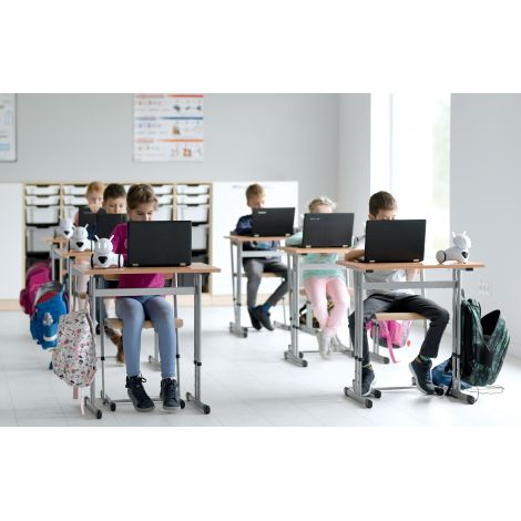 Banca școlară reglabilă Moje bambino IN-R - imagine 2