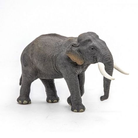 Papo Elefant Asiatic - Figurina Educativă 3+ - imagine 3