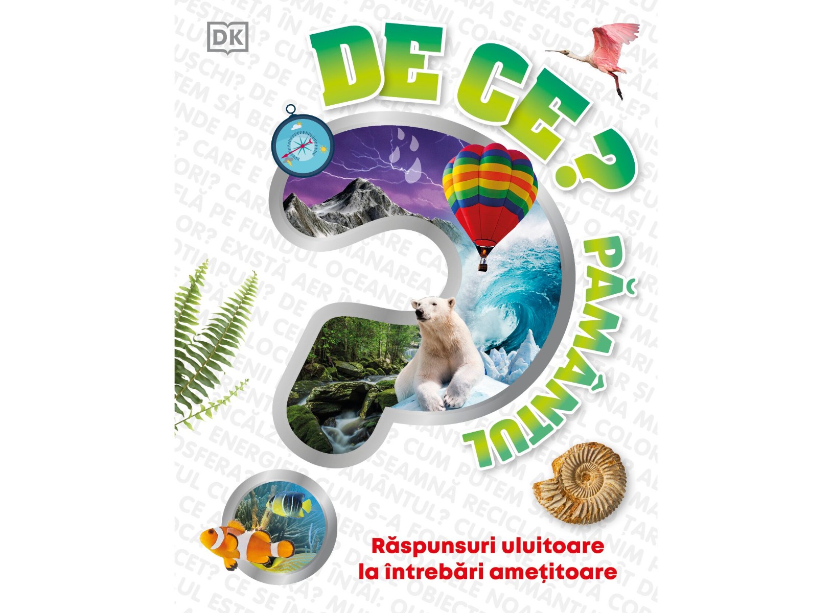 De ce? Pamantul - Devin Dennie | Carte Kreativ