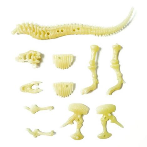 Fosilă T-Rex Fosforescent 4m | Sci:Bits - imagine 3