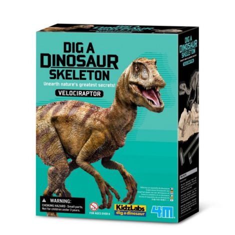 Set 4M Sapa Descopera Velociraptor Educativ