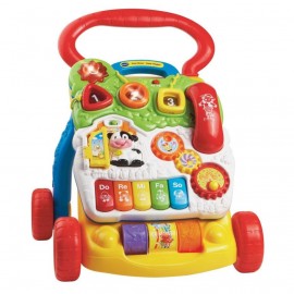 Antepremergator Vtech 2in1 Primii Pasi, Interactiv - imagine 4