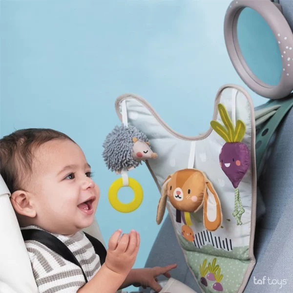 Jucarie Auto cu Oglinda Taf Toys Urban Garden - imagine 4