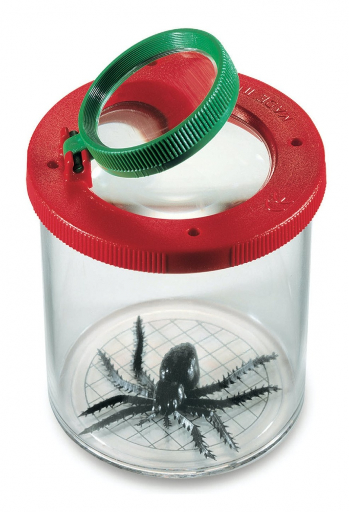 Cutie cu lupa Navir | Observare Insecte