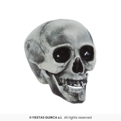 Cap Schelet cu Mandibula Mobila | Widmann