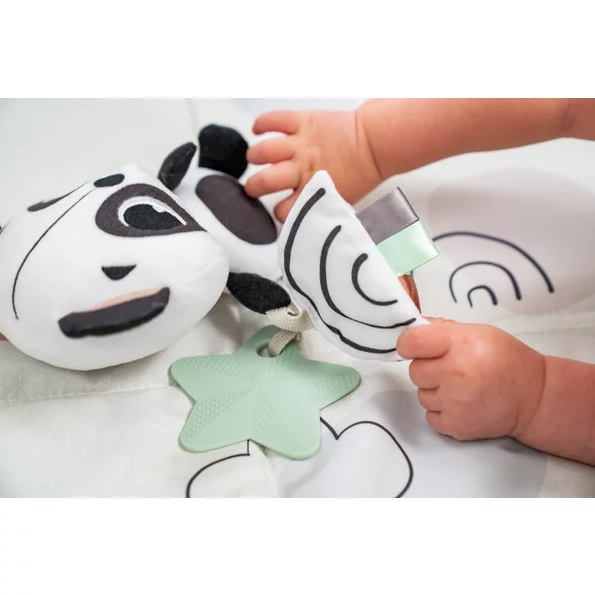 Jucarie Carucior Tiny Love Elizabeth - Stimulare Senzorială