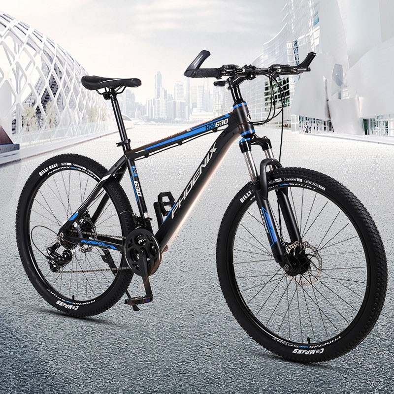 Phoenix MTB 26" 21V Shimano Frâne Disc - imagine 3