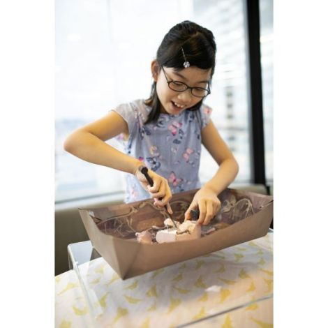 4M Brachiosaurus Sapa și Descoperă Set Educativ - imagine 7