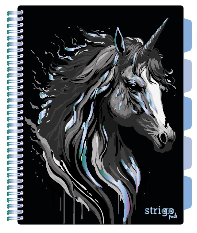 Caiet Strigo Unicorn A4 cu Separatoare, Matematică