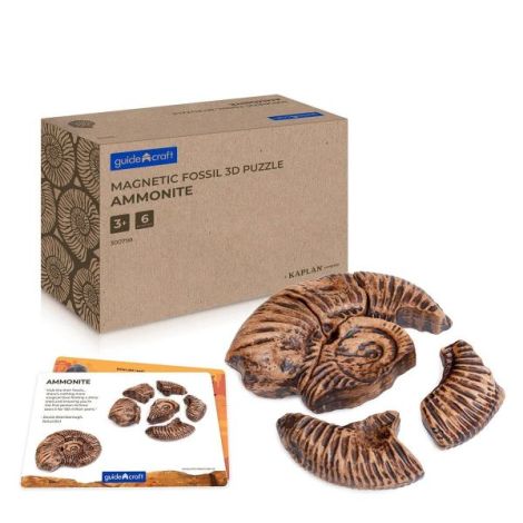 Set Fosile Ammonite 3D Magnetic | Guidecraft