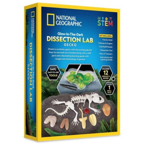 Kit Disecție Șopârlă National Geographic - imagine 2