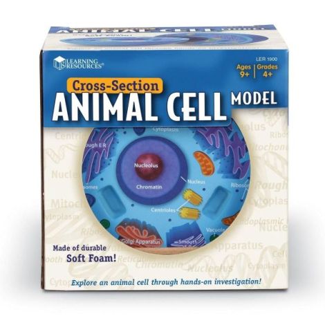 Model Celula Animala Learning Resources - imagine 4