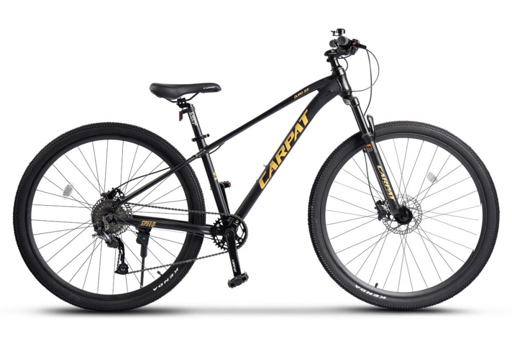 Bicicleta MTB Carpat DURO 2.9 | 29 inch