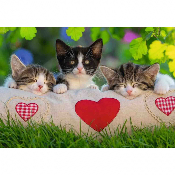 Puzzle Pisicute Ravensburger 2x24 Piese